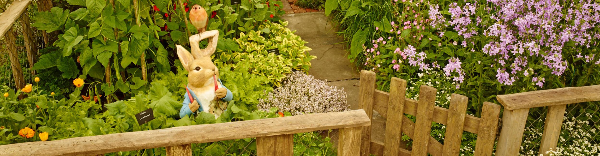 The Peter Rabbit™ Garden at the Chelsea Flower Show wins gold | World ...